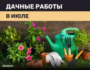 Дачные работы в июле